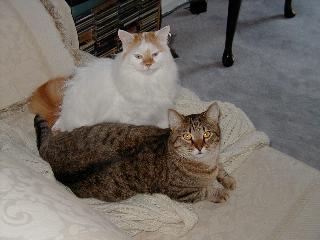 Snoopy and Tiggr